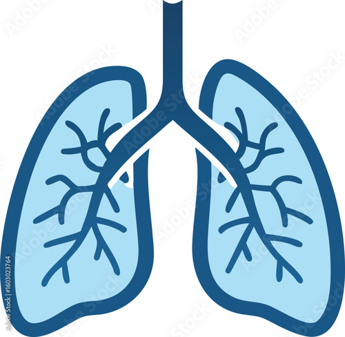 Simple Line Art Depiction of Human Lungs and Trachea for Medical Illustration