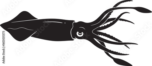 Dynamic squid silhouette with prominent tentacles and a distinctive mantle, representing marine life, ocean mysteries, and aquatic adventure, ideal for seafood packaging and educational materials