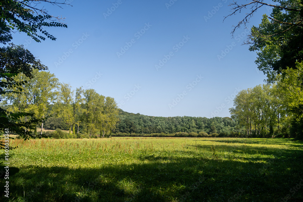 Obraz premium Summer in the Dordogne, France