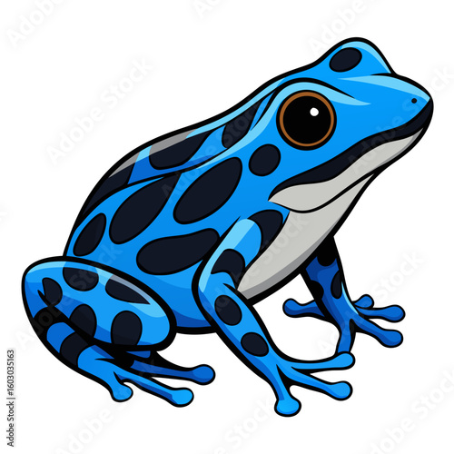 Blue Poison Dart Frog Vector