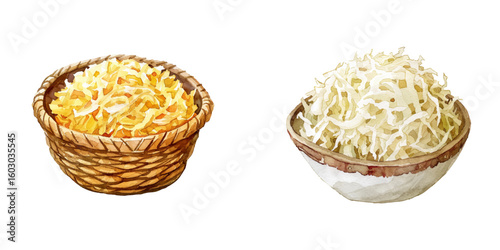 sauerkraut watercolor vector illustration