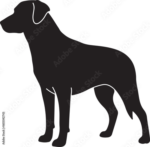 Sleek dog silhouette standing alert and attentive, perfect for pet-related designs, animal themes, and canine companionship, representing loyalty, protection, and domestic animal