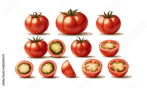 Scalable vector illustration set of red tomatoes in various forms, fresh vegetables, organic vegetables, easily editable.