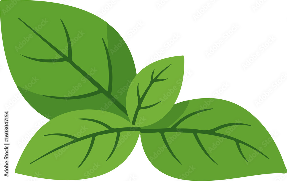 Naklejka premium basil