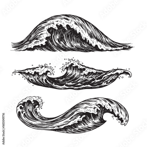 Artistic illustrations showcasing three distinct ocean wave depictions with dramatic cresting and foaming water elements in a vintage art style.
