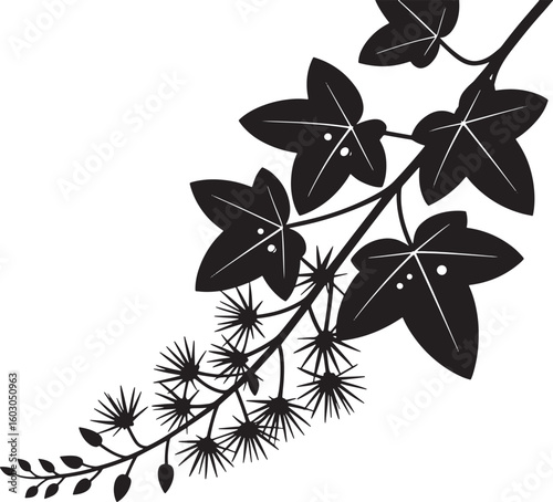 Ivy Branch Silhouette Vector Graphic Climbing Plant Design Botanical Illustration