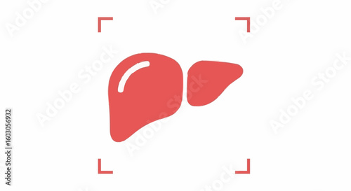 Simple red liver icon on white background, medical symbol