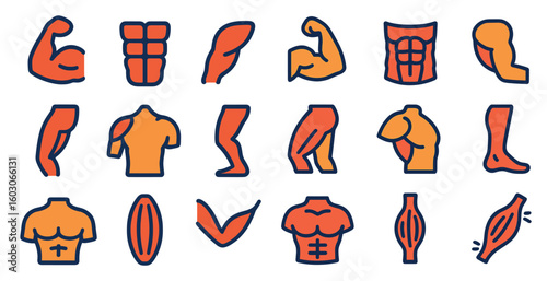 Collection of body parts and muscles, including the chest, arms, and legs. Concept of strength and fitness