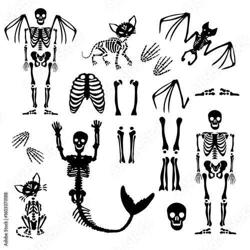 Skeletons for Halloween. Set of figures of skeletons of a cat, a person, a bat