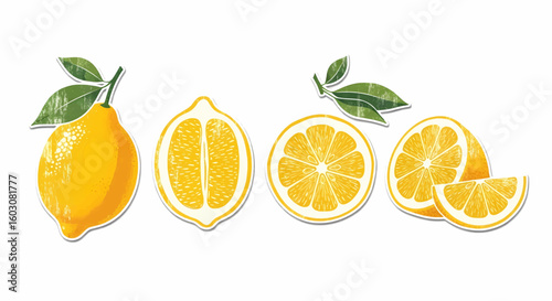 Illustrated collection of fresh yellow lemons, showing a whole fruit, a half, a slice, and wedges with green leaves.