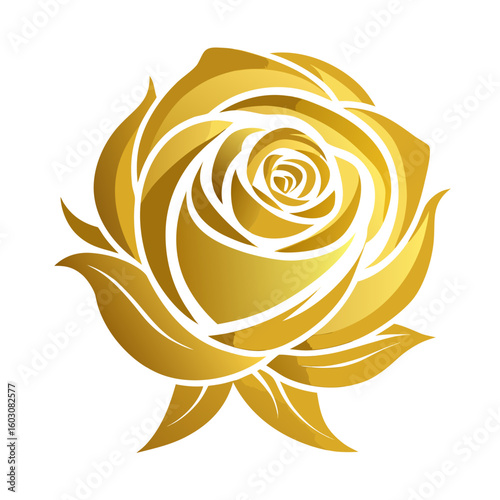yellow rose vector illustration