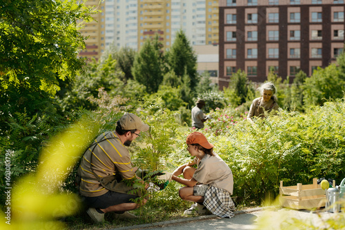 Cuadro en lienzo Caucasian man helping Caucasian girl planting sapling in urban garden while seni
