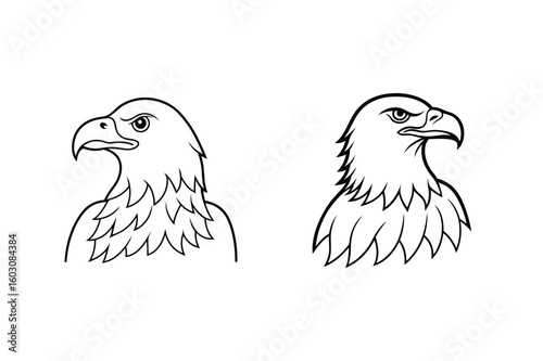 Majestic eagle heads profile bird black and white