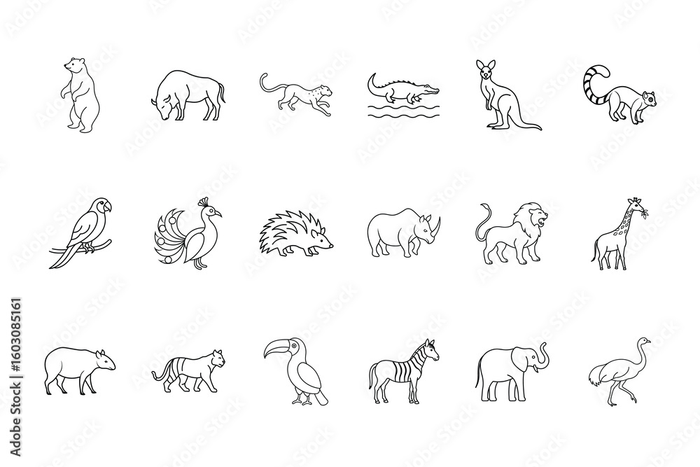 Obraz premium Collection diverse animal line art illustrations on bear buffalo