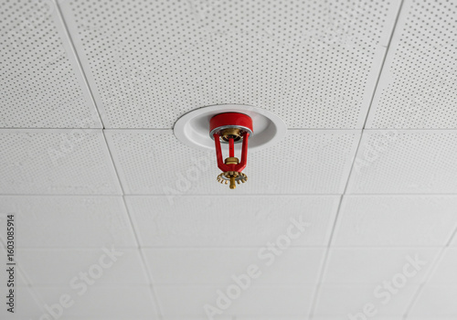 Red Fire Sprinkler Head Mounted on White Tiled Ceiling for Safety Systems