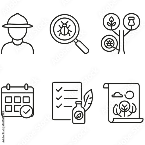 Integrated Pest Management. Line style icons of integrated pest management steps: scout icon, pest identification magnifier, risk