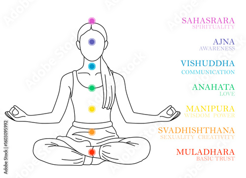 Chakras names and location in body. Silhouette of woman in Lotus position on white background, illustration