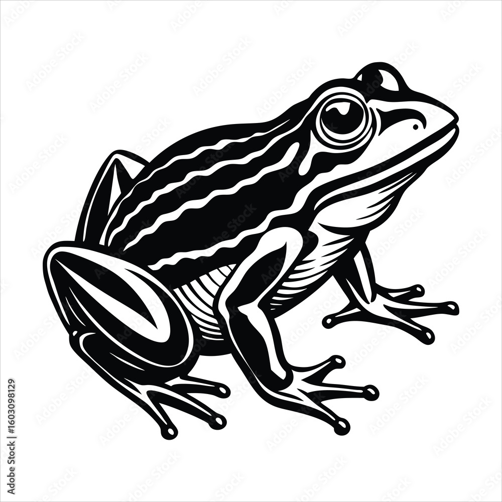 Naklejka premium How Frogs Work