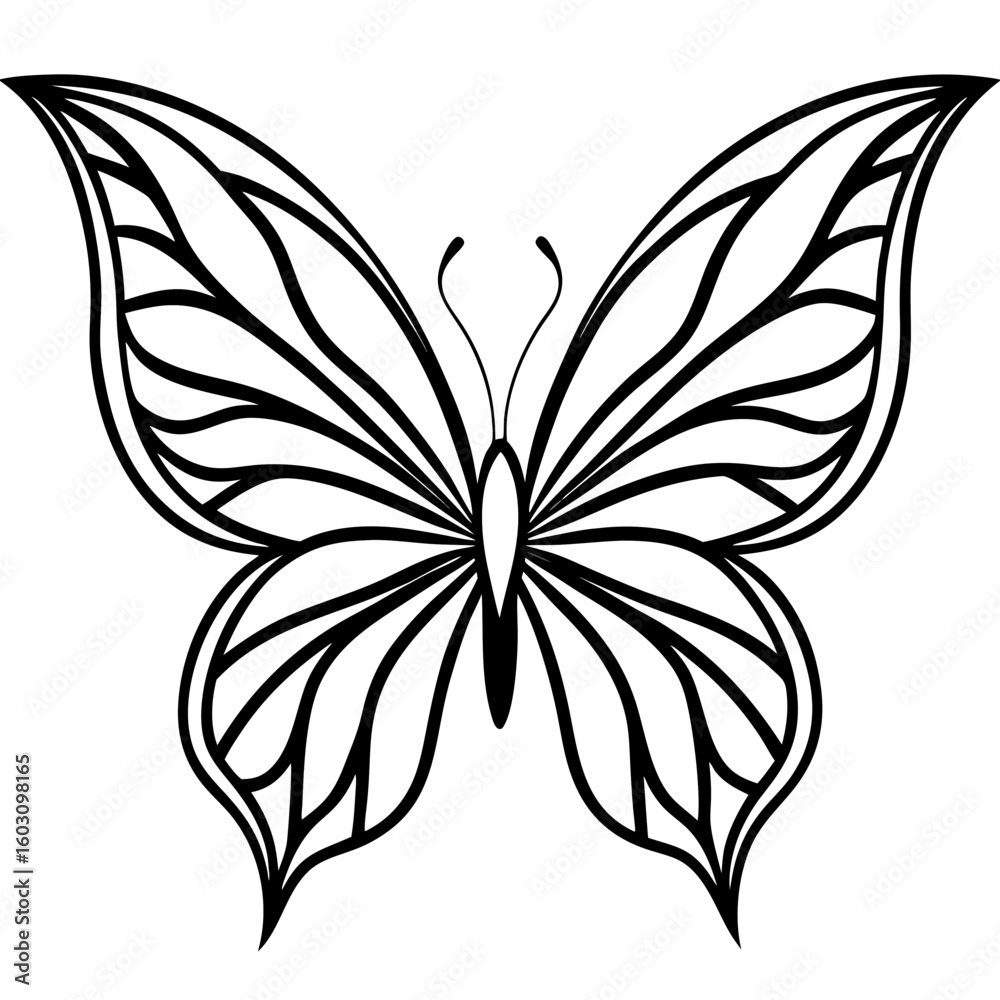 Obraz premium Elegant black and white butterfly with intricate wing patterns silhouette