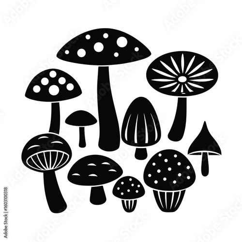 Detailed Vector Illustration of a Variety of Edible and Wild Mushrooms