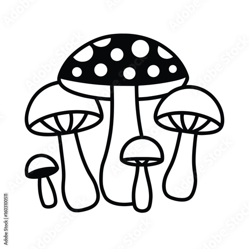 Diverse Mushroom Collection Vector Illustration Edible and Poisonous Fungi Set