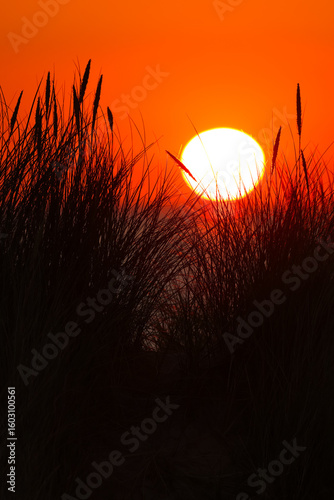 Dunes of Texel, Netherlands, sunrise, peace, warm colors North Sea, Holland, the darkness is broken