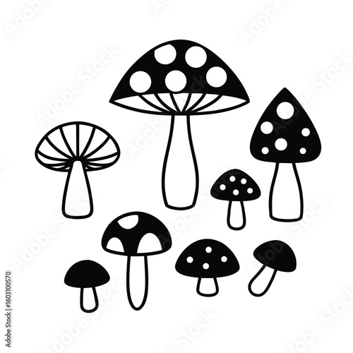 Diverse collection of mushroom vector illustrations a full set for design projects