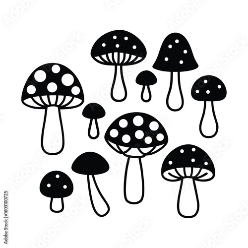 Diverse Mushroom Collection Vector Illustration Edible and Wild Fungi Set