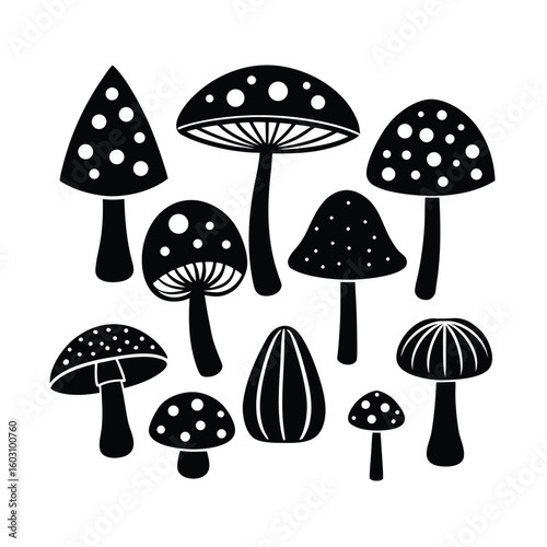 Diverse Mushroom Collection Vector Illustration Set of Edible and Wild Fungi