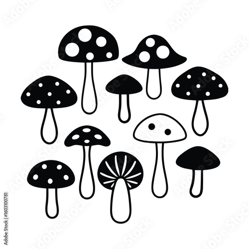 Mushroom Variety Vector Illustration Set Edible and Wild Fungi Collection