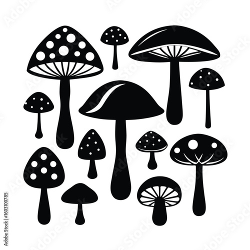Mushroom Variety Vector Illustration Full Set of Edible and Wild Fungi