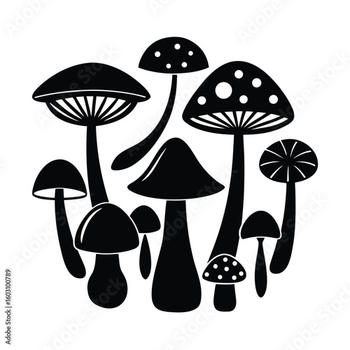 Diverse Mushroom Collection Vector Illustration Full Set of Edible and Wild Fungi