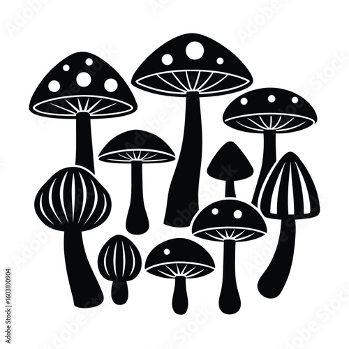 Diverse Mushroom Collection Vector Illustration Edible and Wild Fungi Set