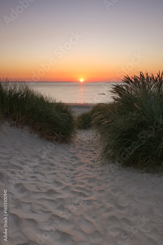 Dunes of Texel, Netherlands, sunrise, peace, warm colors North Sea, Holland, the day begins