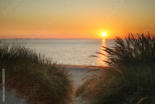Dunes of Texel, Netherlands, sunrise, peace, warm colors North Sea, Holland, horizon