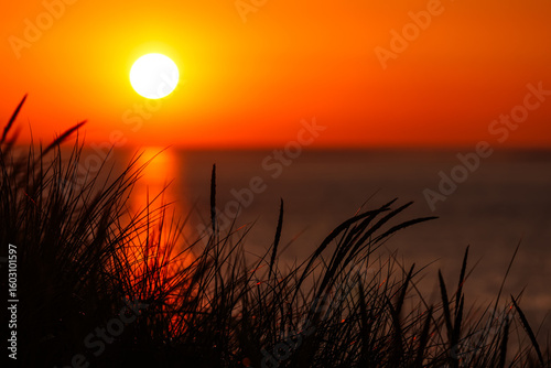 Dunes of Texel, Netherlands, sunrise, peace, warm colors North Sea, Holland, holiday