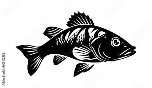 zebra danio fish icon, zebra danio fish vector illustration-simple illustration of zebra danio fish