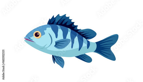zebra danio fish icon, zebra danio fish vector illustration-simple illustration of zebra danio fish