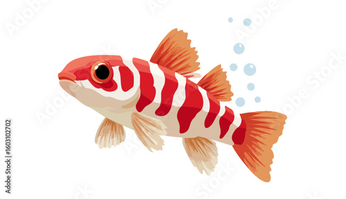 zebra danio fish icon, zebra danio fish vector illustration-simple illustration of zebra danio fish