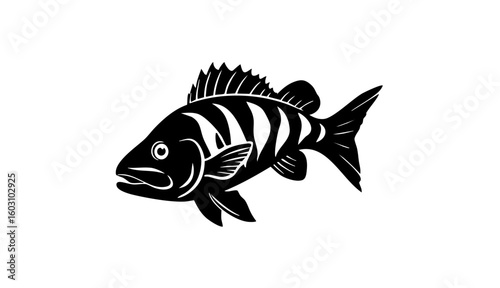 zebra danio fish icon, zebra danio fish vector illustration-simple illustration of zebra danio fish