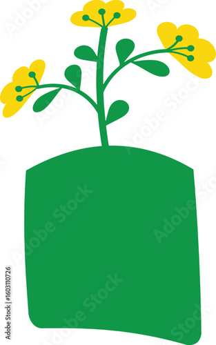 Mustard Flower Plant in Pot - Nature & Agriculture Vector