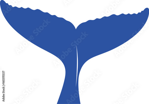 A blue whale tail fluke isolated on a white background, showing the shape and texture detail