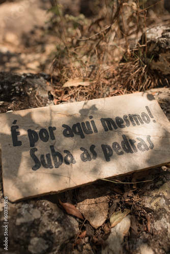 Placa 