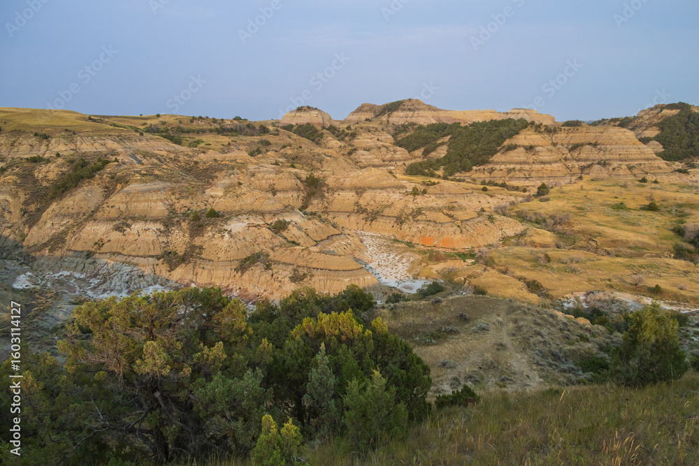 Obraz premium View from Boicourt Trail at Theodore Roosevelt National Park