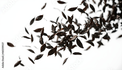 Falling leaves nature scene close-up photography minimalist background dynamic motion organic beauty