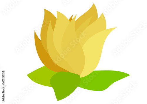 Abstract illustration of a flower