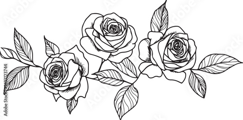 Elegant Rose Border Illustration Black and White Floral Design Element