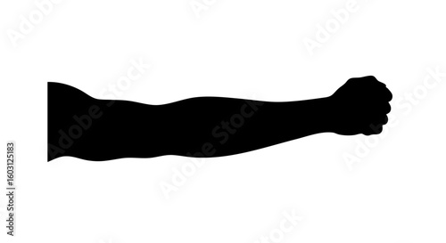 The muscular arm of a bodybuilder, demonstrating strength.