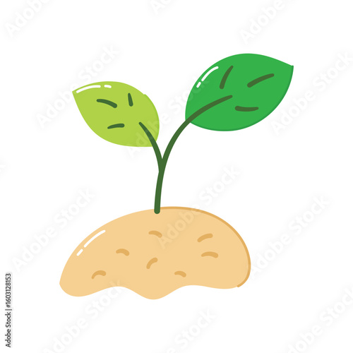 Hand drawn plant a tree element icon flat vector illustration design