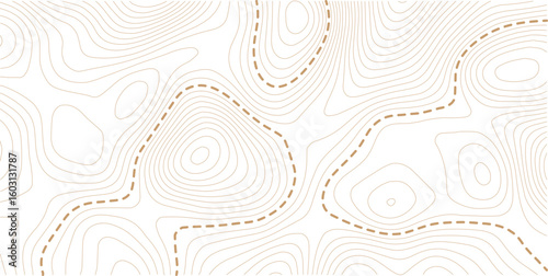 Topographic map pattern background vector. Abstract  line contour mountain terrain map background. Vintage outdoors style wallpaper.